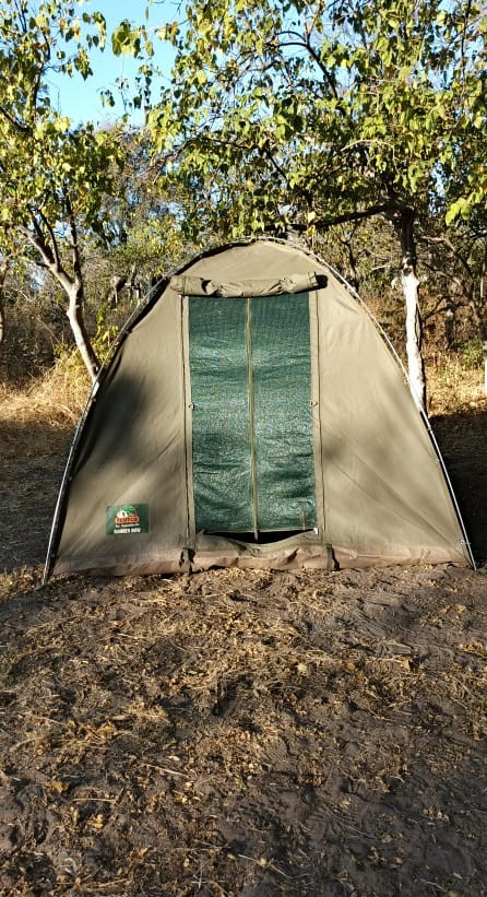 Kafue National Park safari